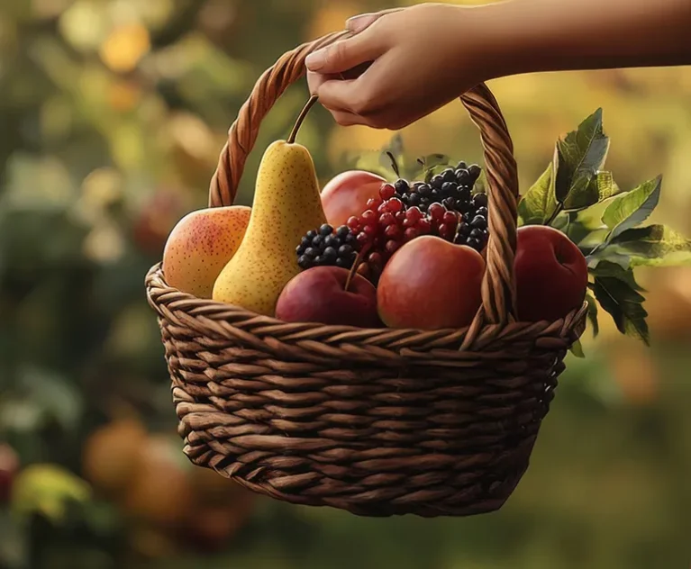 There are many variations of passages of Lorem Ipsum available, but majority have suffered teration in some form, by injected humour, or randomised words which don't look even slight believable. If you are going to use a passage of Lorem Ipsum.